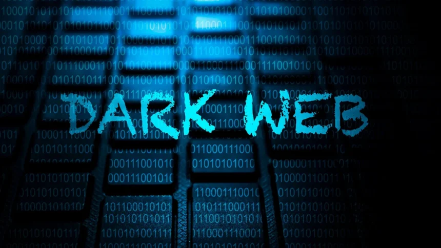 Dark Web in 2025: Privacy, Risks & How to Navigate Safely